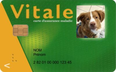 « Vous prenez la carte vitale ? »