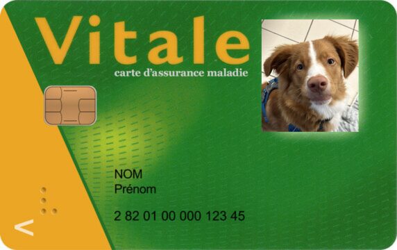 « Vous prenez la carte vitale ? »